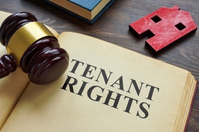 How the Renters’ Rights Bill will affect landlords 